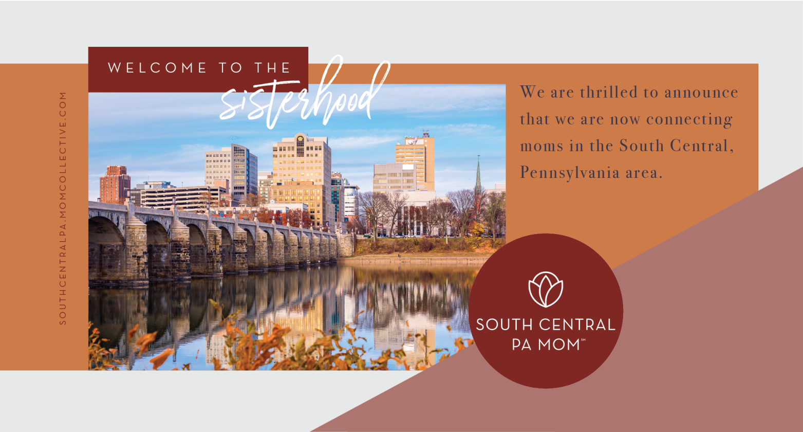 New Business Launch: South Central PA Mom